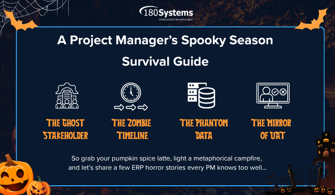 ERP project Manager Survival Guide